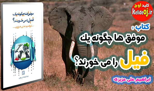 گفتگو با نویسنده کتاب «موفق ها چگونه  یک فیل را می خورند؟»